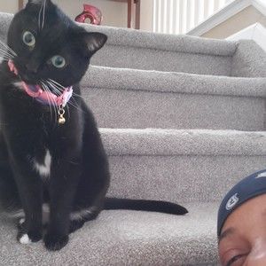 Meet your Posher, Lakeisha